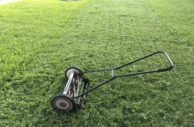 Lawn Caretaker
